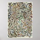 Levensboom - evolutie-Poster - kleur Poster (Voorkant)