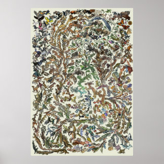 Levensboom - evolutie-Poster - kleur Poster