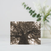 Levensboom in Sepia Briefkaart (Staand voorkant)