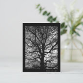 Levensboom - Lebensbaum - Baum des Lebens Briefkaart (Staand voorkant)