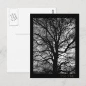 Levensboom - Lebensbaum - Baum des Lebens Briefkaart (Voorkant / Achterkant)