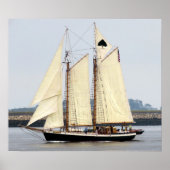 Levensboom Poster (Voorkant)