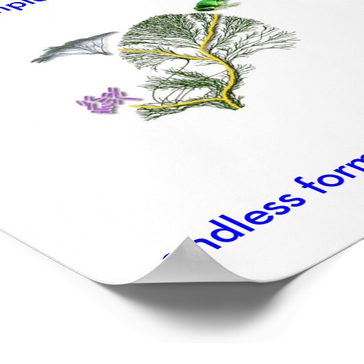 Levensboom Poster (Hoek)