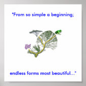 Levensboom Poster (Voorkant)