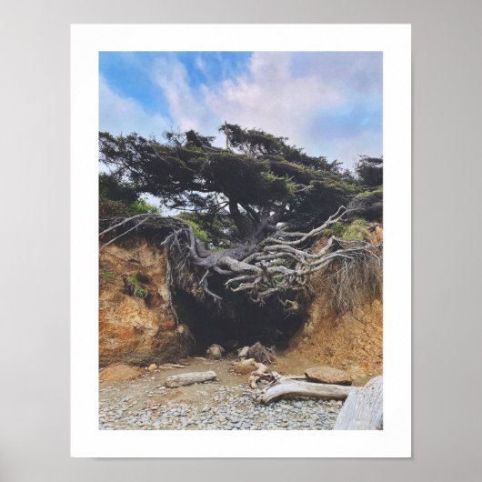 Levensboom Poster (Voorkant)