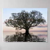 Levensboom (reflecties) poster (Voorkant)
