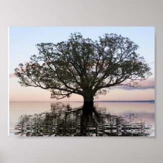 Levensboom (reflecties) poster