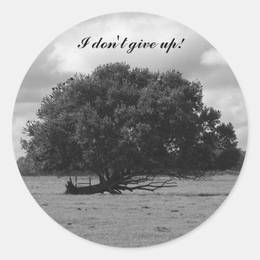 Levensboom Ronde Sticker (Voorkant)