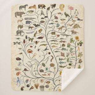 Levensboom Sherpa Deken