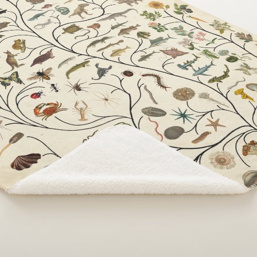 Levensboom Sherpa Deken (3/4)