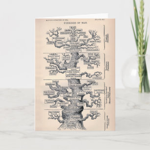 Levensboom / stamboom van Man Kaart