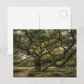 Levensboom van het Zuiden | Live Oak Kunst | Brief Briefkaart (Voorkant / Achterkant)