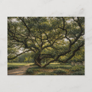 Levensboom van het Zuiden Live Oak Kunst Brief Briefkaart