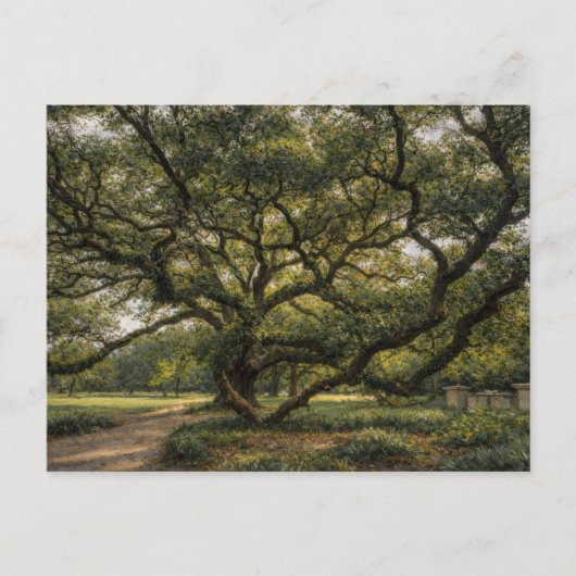Levensboom van het Zuiden | Live Oak Kunst | Brief Briefkaart (Voorkant)