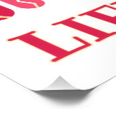 Levenscoach Perfect Poster (Hoek)