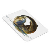 Levenscyclus 2014 magneet (Rechterzijde)