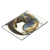 Levenscyclus 2014 notitieboek (Linkerzijde)