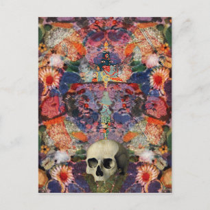 Levenscyclus Briefkaart