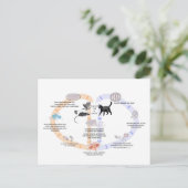 Levenscyclus briefkaart Diagram van Toxoplasma gon (Staand voorkant)