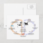 Levenscyclus briefkaart Diagram van Toxoplasma gon (Voorkant / Achterkant)