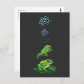 Levenscyclus Kikker Metamorfose Tadpole Froglet Briefkaart (Voorkant / Achterkant)