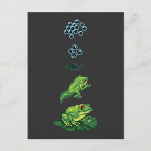 Levenscyclus Kikker Metamorfose Tadpole Froglet Briefkaart (Voorkant)