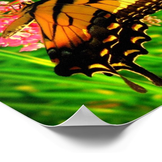 Levenscyclus Poster (Hoek)