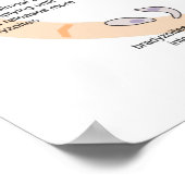 Levenscyclus poster Diagram van Toxoplasma gondii (Hoek)