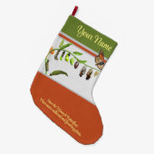 Levenscyclus van de monarchvlinder grote kerstsok (Voorkant (Hangend))