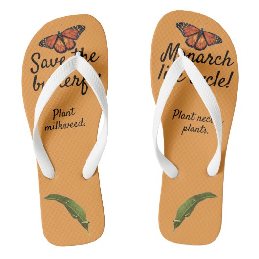 Levenscyclus van de monarchvlinder teenslippers (Voetbed)