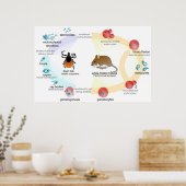 Levenscyclus van de Parasiet Babesia Poster (Keuken)