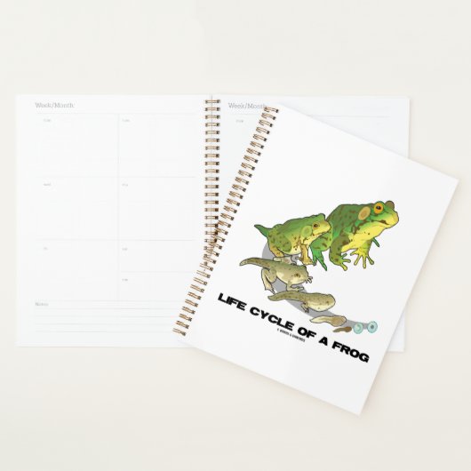 Levenscyclus van een kikker van ei tot kikkervisje planner (Display)