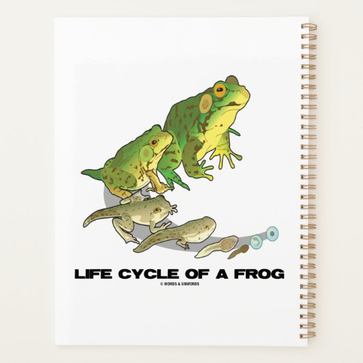 Levenscyclus van een kikker van ei tot kikkervisje planner (Achterkant)