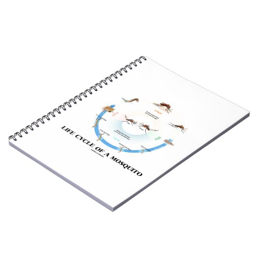 Levenscyclus van een muggen (Egg Larva Pupa Imago) Notitieboek (Linkerzijde)