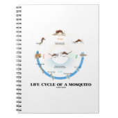Levenscyclus van een muggen (Egg Larva Pupa Imago) Notitieboek (Voorkant)