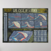 Levenscyclus van een Storm Poster (Voorkant)