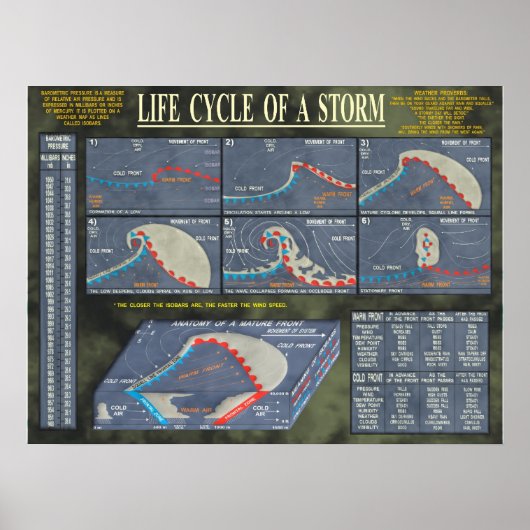 Levenscyclus van een Storm Poster (Voorkant)