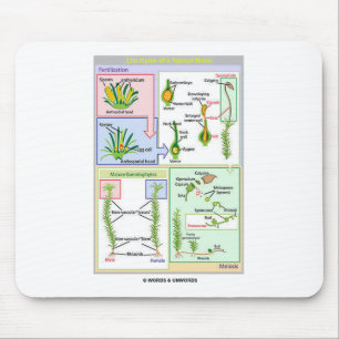 Levenscyclus van een typische beweging (Bryophyte) Muismat