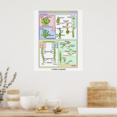 Levenscyclus van een typische beweging (Bryophyte) Poster (Keuken)