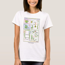 Levenscyclus van een typische beweging (Bryophyte) T-shirt