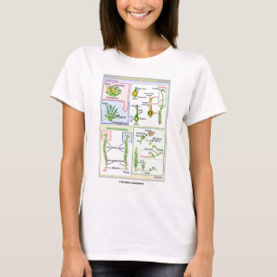 Levenscyclus van een typische beweging (Bryophyte) T-shirt
