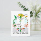 Levenscyclus van een ventilator (angiosperm) briefkaart (Staand voorkant)