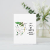 levenscyclus van groene algen briefkaart (Staand voorkant)