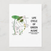levenscyclus van groene algen briefkaart (Voorkant)