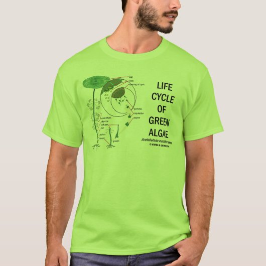 Levenscyclus van groene algen t-shirt (Voorkant)