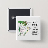 Levenscyclus van groene algen vierkante button 5,1 cm (Voorkant /achterkant)