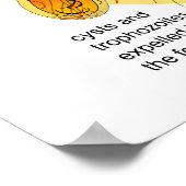 Levenscyclus van het Parasiet Giardia Lamblia Diag Poster (Hoek)