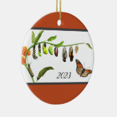 Levenscyclus van kerstmonboogvlinder keramisch ornament (Rechts)