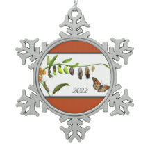 Levenscyclus van kerstmonboogvlinder