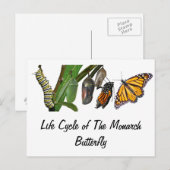 LEVENSCYCLUS VAN MONARCH BRIEFKAART (Voorkant / Achterkant)